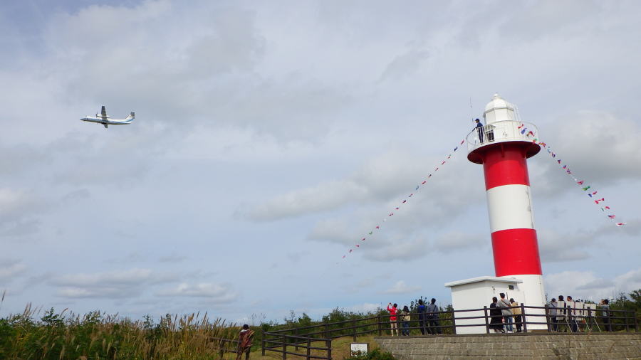 �Ύ듔������s�����Ί�n�����̍q��@�̏�