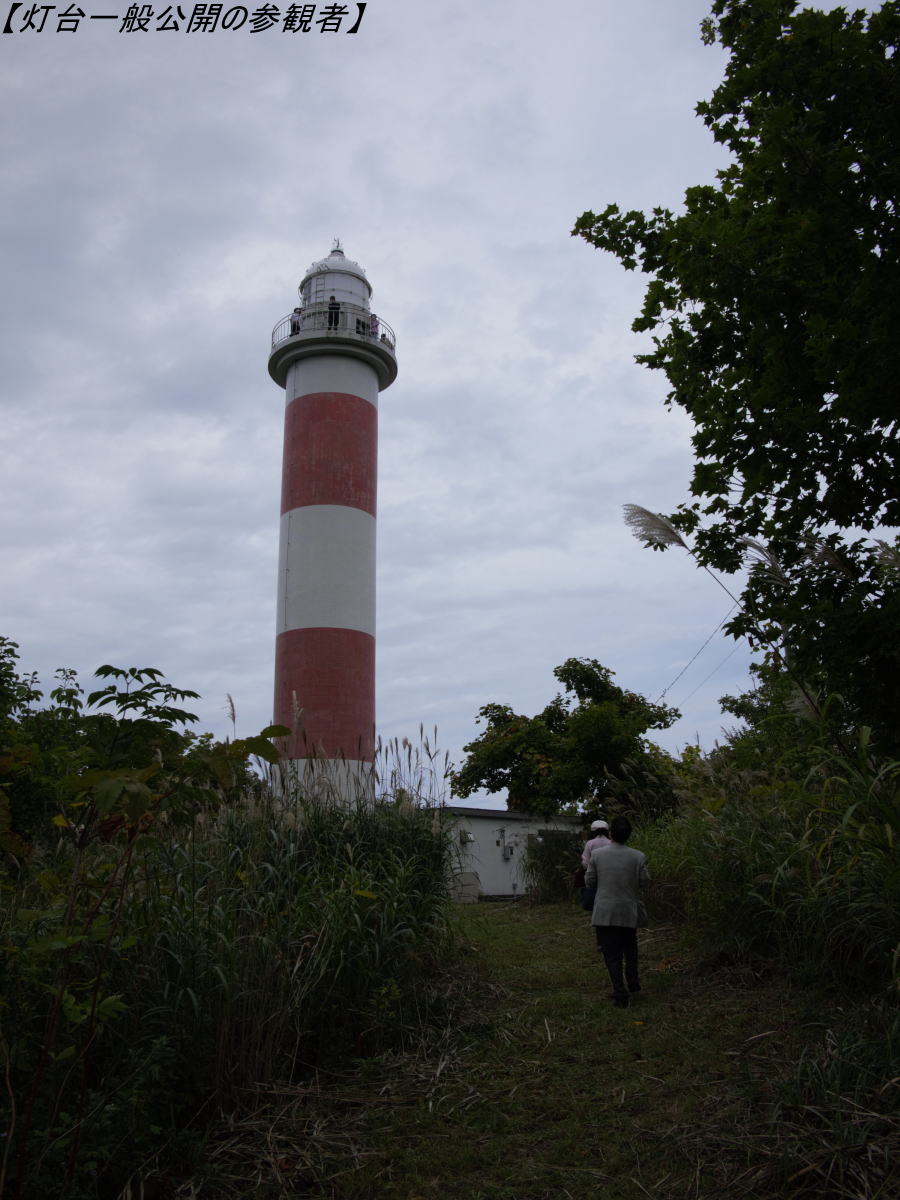 �����ʌ��J�̎Q�Ϗ�