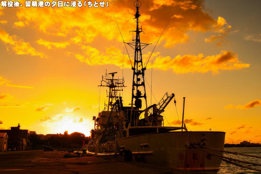 �����A���G�`�̗[���ɐZ�邿�Ƃ�