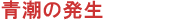 青潮の発生
