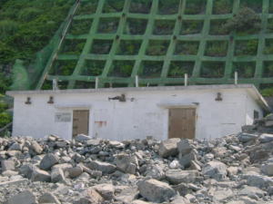 �O�l�R����