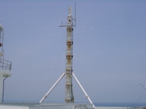 ���[�}�[�N�r�[�R���S���̎ʐ^