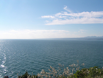 �P������W�]�䂩�獑�������������摜