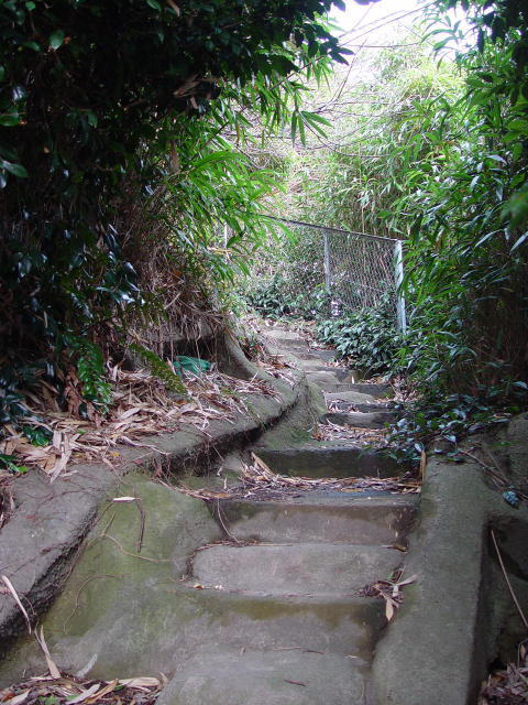 ����ւ̓��i�r���j