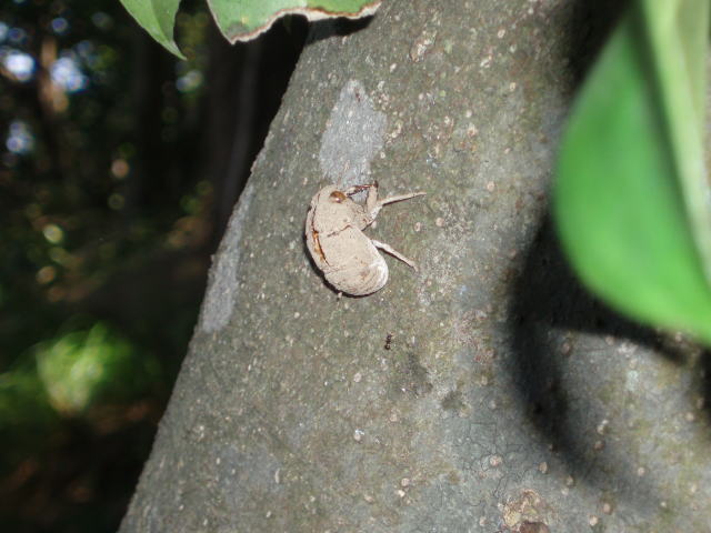 ��_������ʐ^