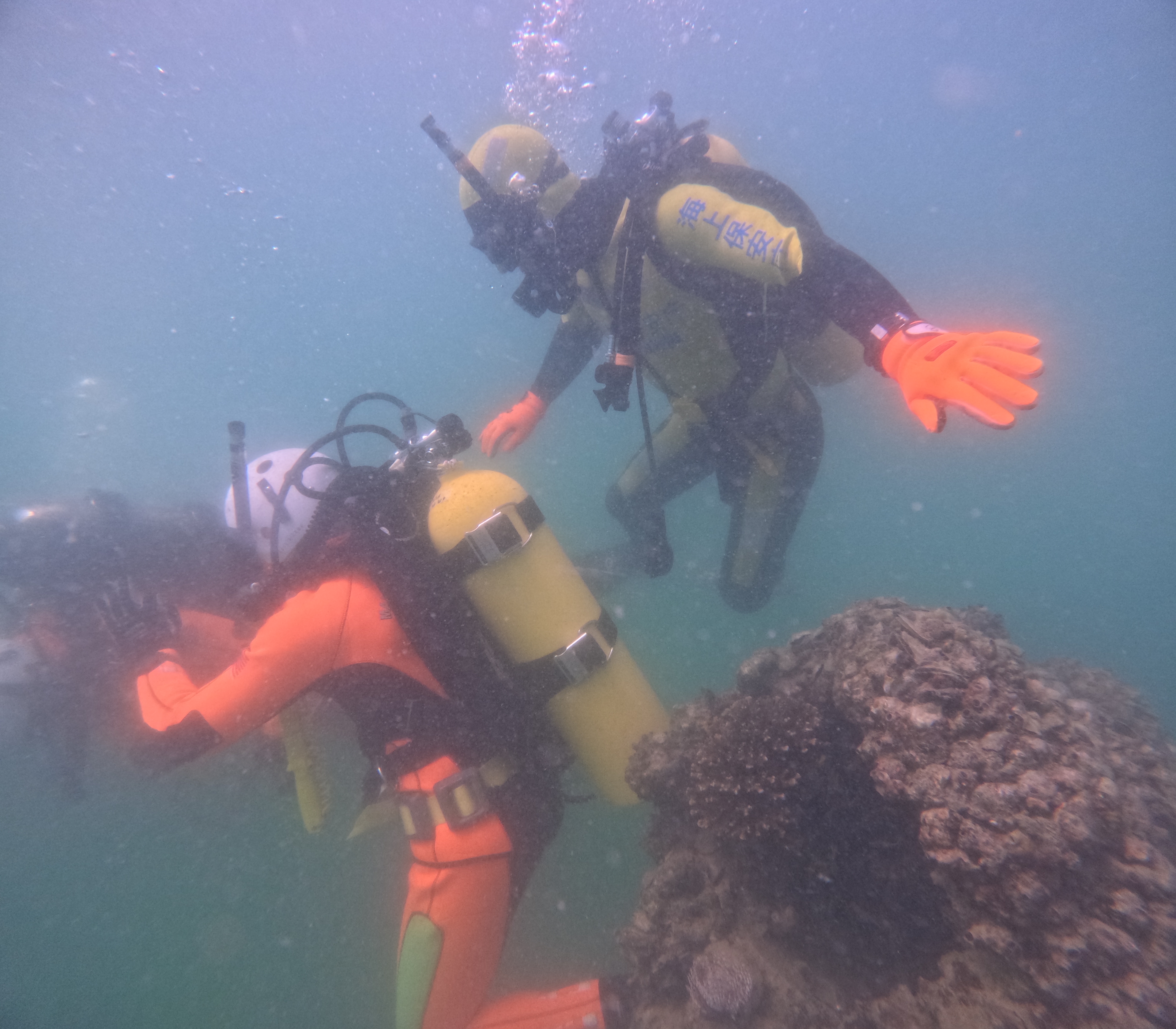 Capacity Building Support for the Malaysia Maritime  Enforcement Agency (MMEA)  （Summary of Activity）