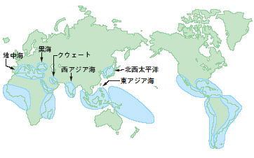 世界の地域海行動計画