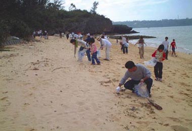 海浜清掃活動