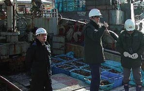立入検査を行う海上保安官