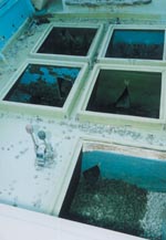 不法投棄されていた船舶(船底に砂利を積載)