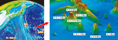 精密海底地形調査によって発見された海山(春の七草海山)