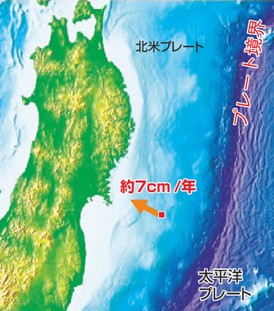 宮城県沖の観測結果
