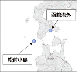 木造船の外観