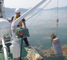 漂流物回収