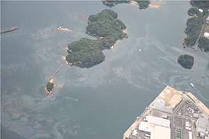 浮流油の状況
