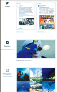 通常ver SNS