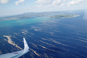 沖縄本島(古宇利島)付近を漂流する軽石