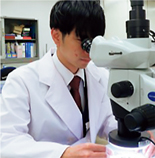 塗膜の層構成の確認