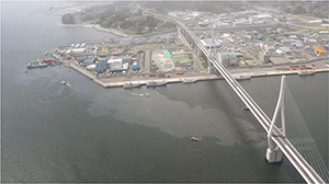浮流油の状況