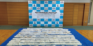 ���^�D���𗘗p�����R�J�C�����A������-1