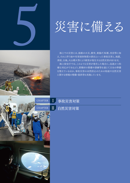 �ЊQ�ɔ�����