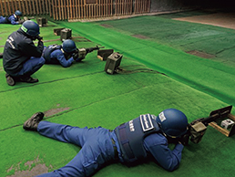 �g�s����w����