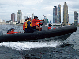 �h�����͊�