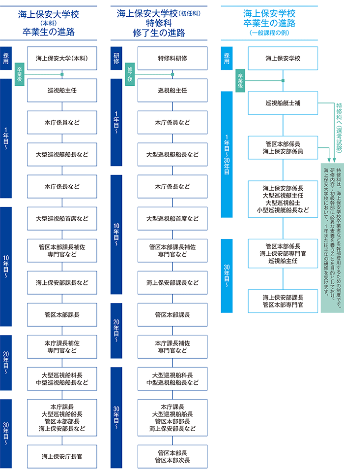 �L�����A�A�b�v���f���R�[�X