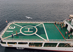 �����D����̗������̗l�q