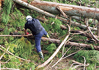 �ߘa6�N���\�o���J��̓��̂�-3