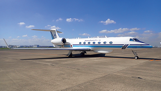 �K���tV�u���݂킵�v